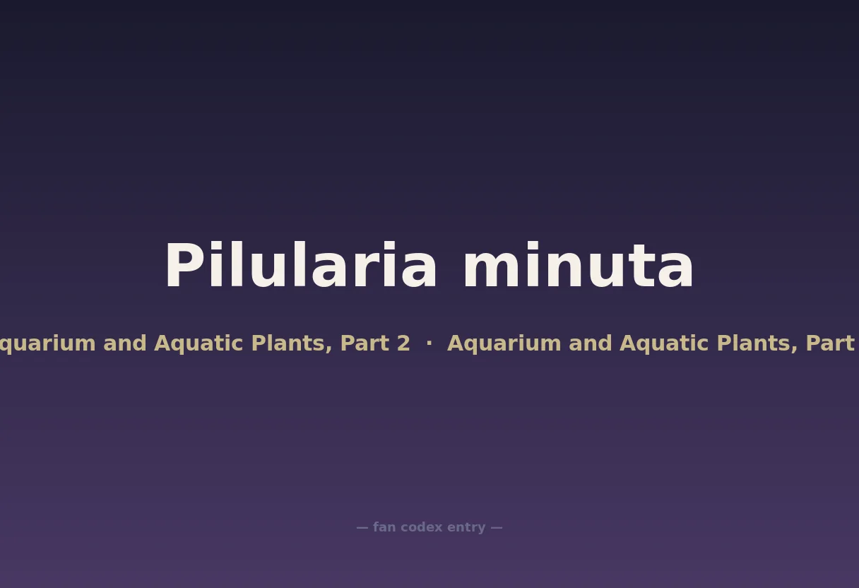 Pilularia minuta