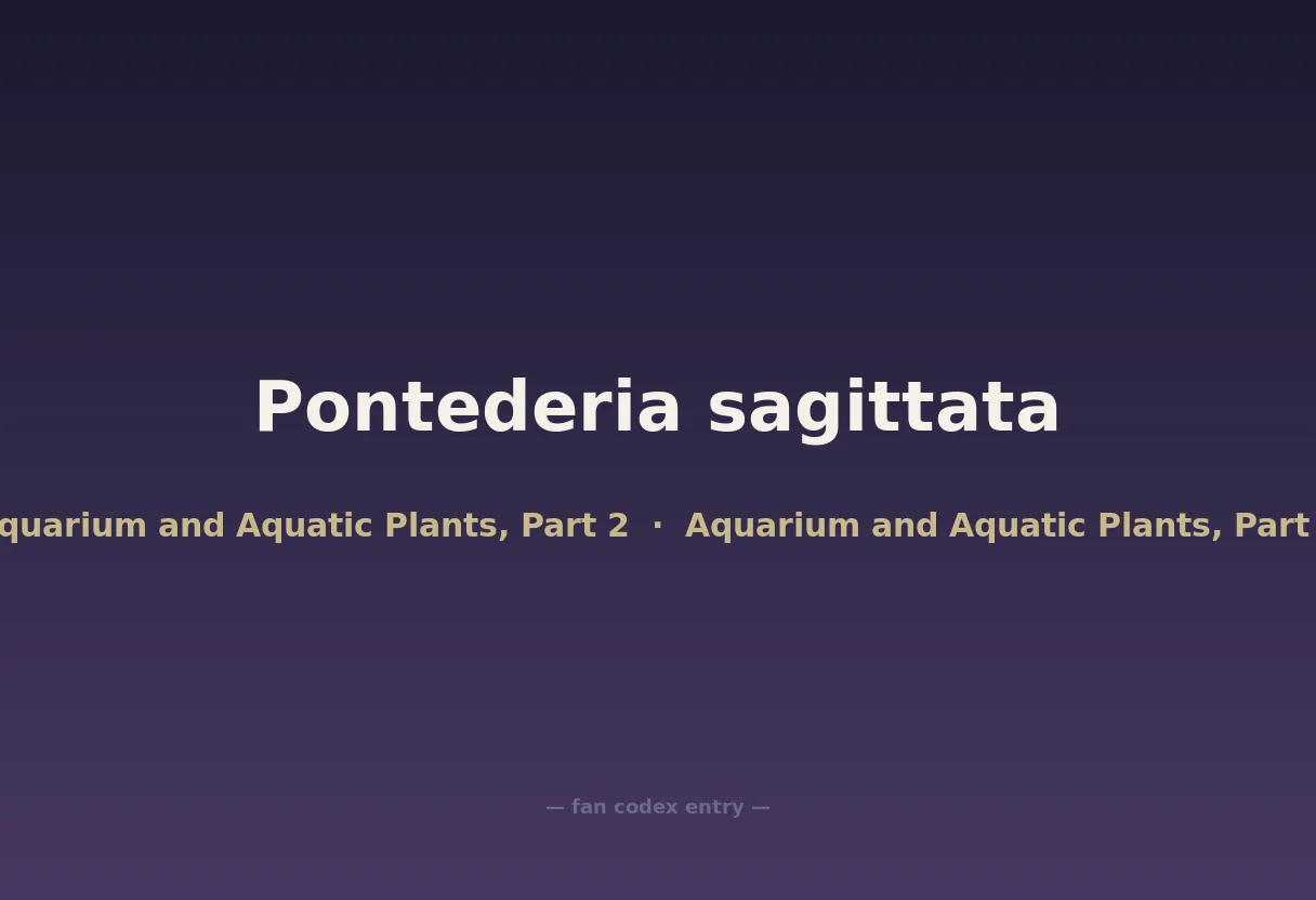 Pontederia sagittata