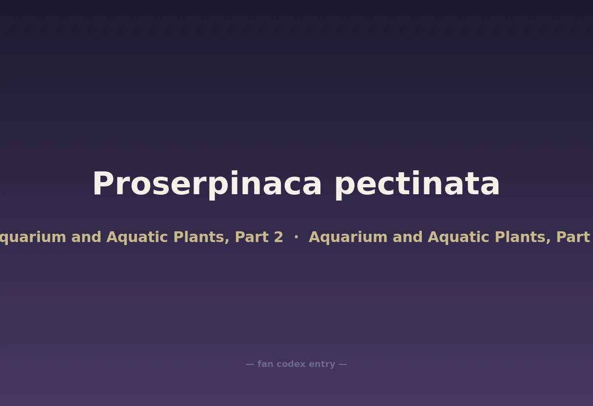 Proserpinaca pectinata