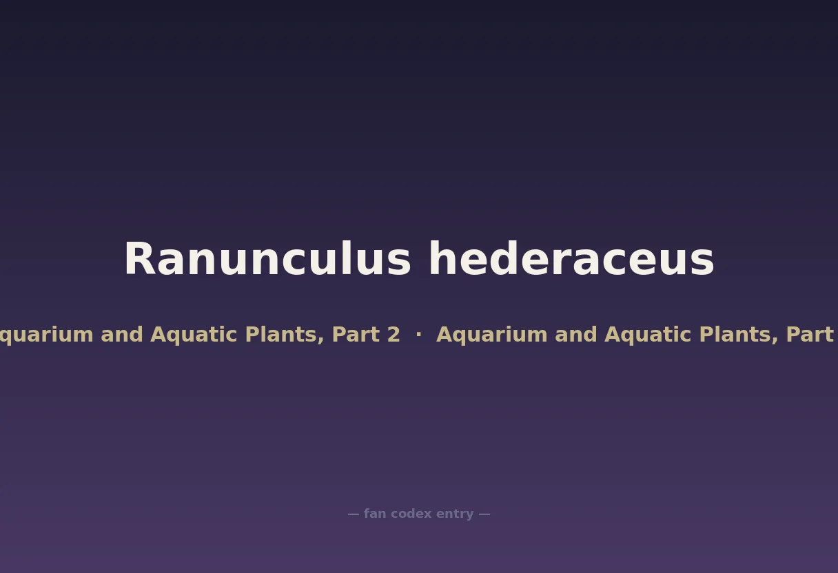 Ranunculus hederaceus