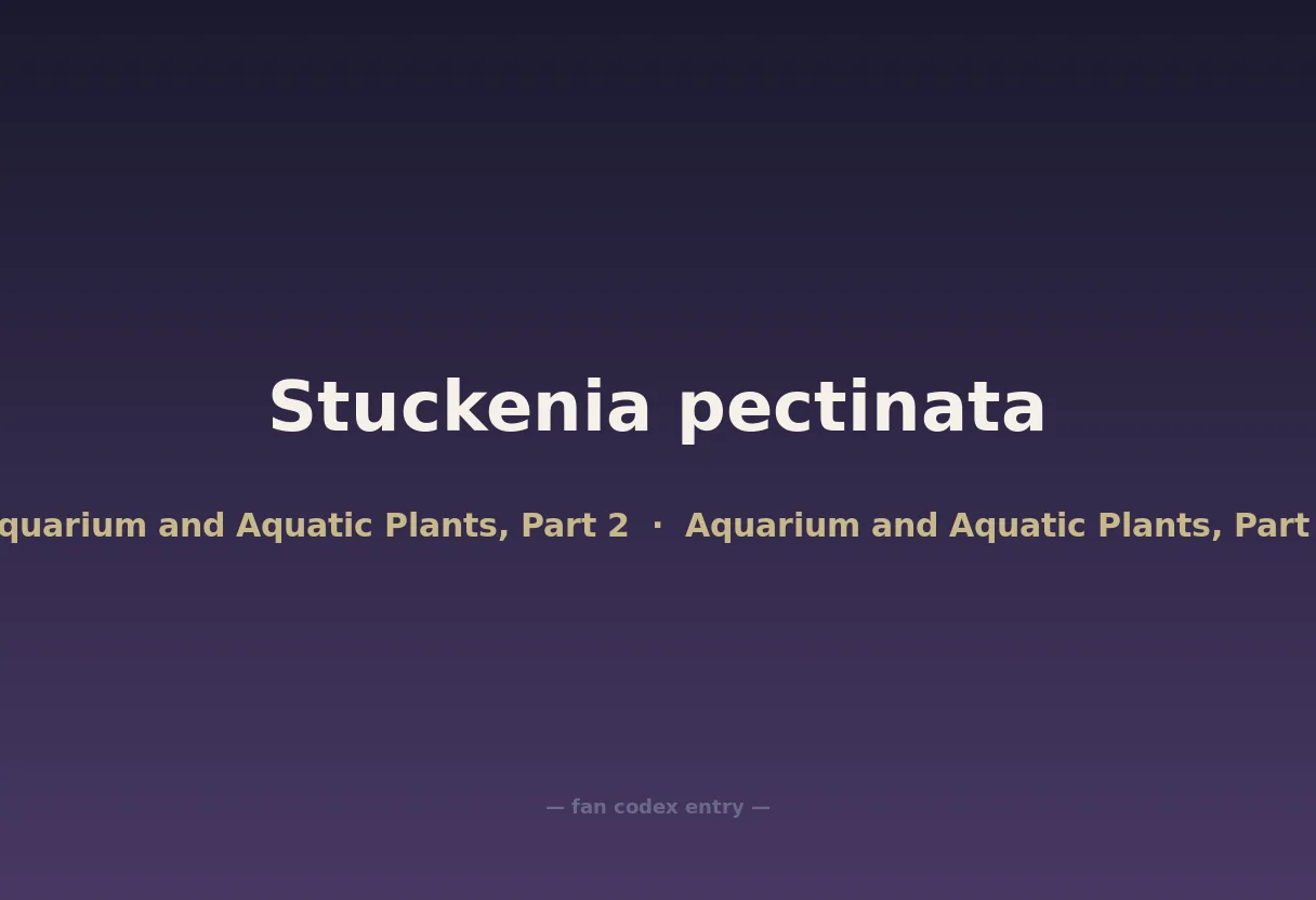 Stuckenia pectinata