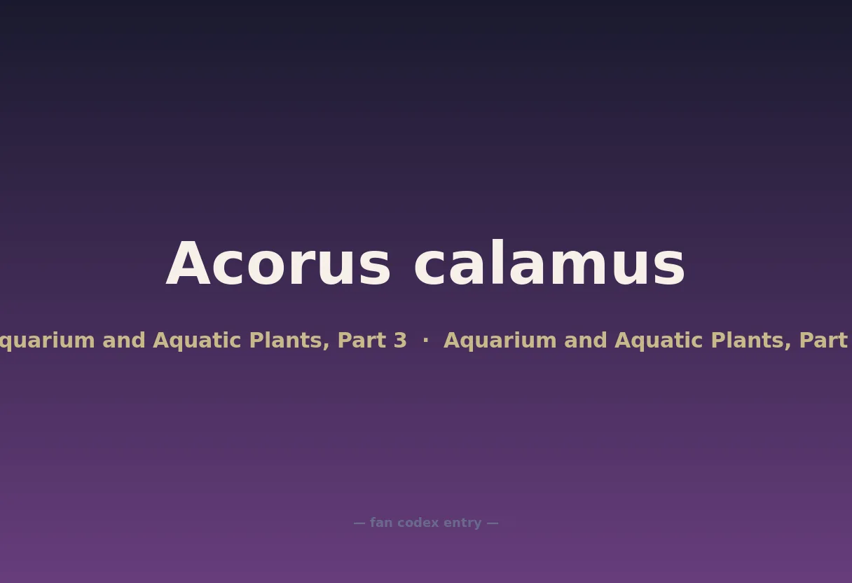 Acorus calamus