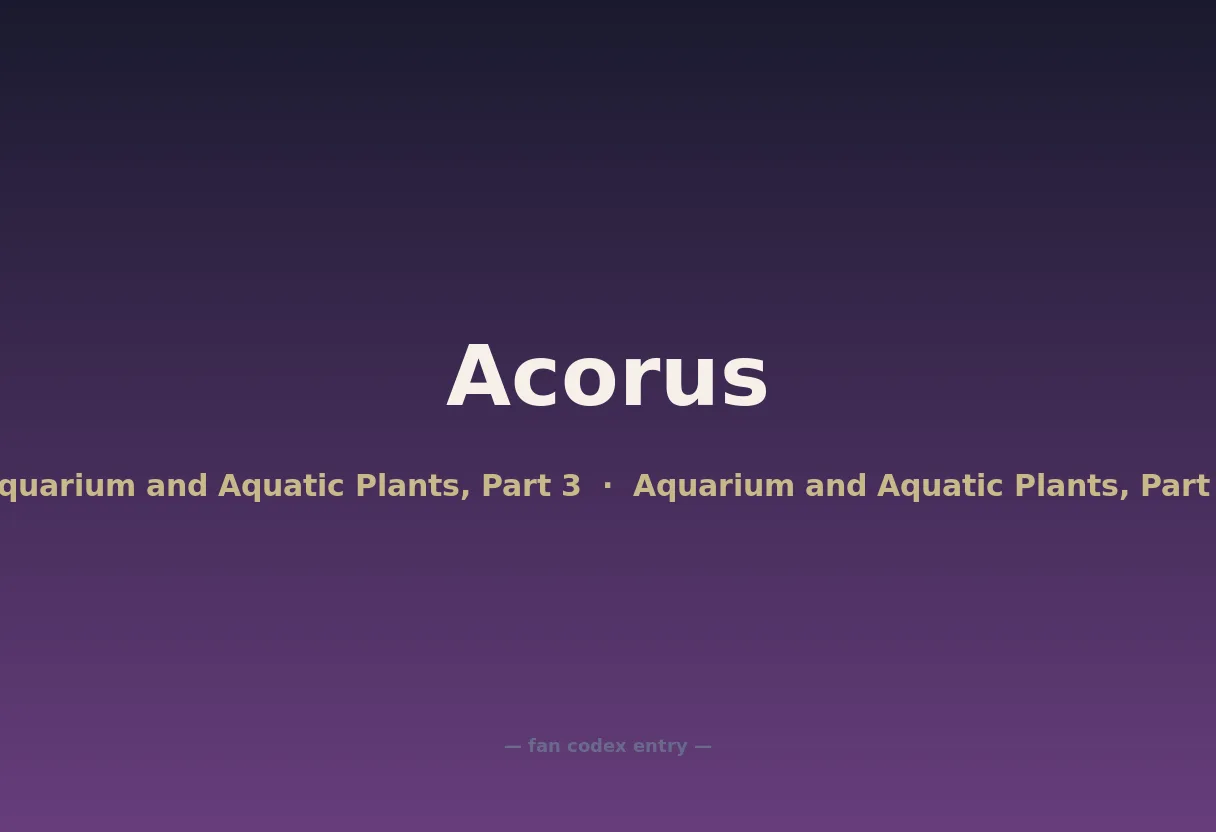 Acorus