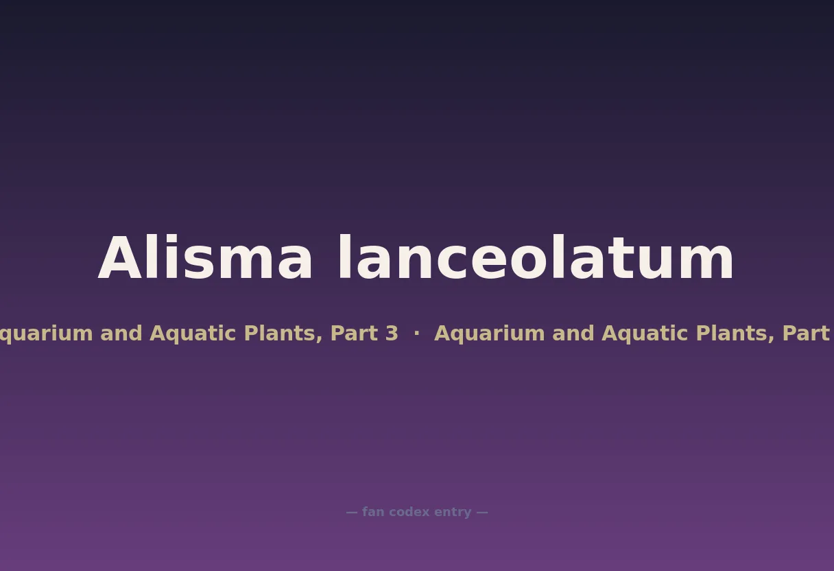 Alisma lanceolatum