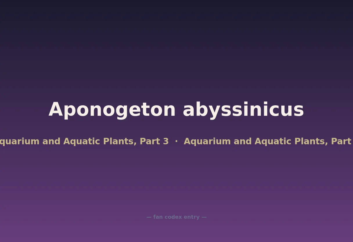 Aponogeton abyssinicus