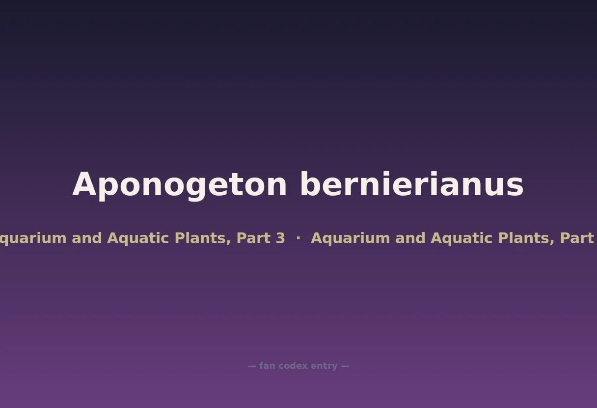 Aponogeton bernierianus