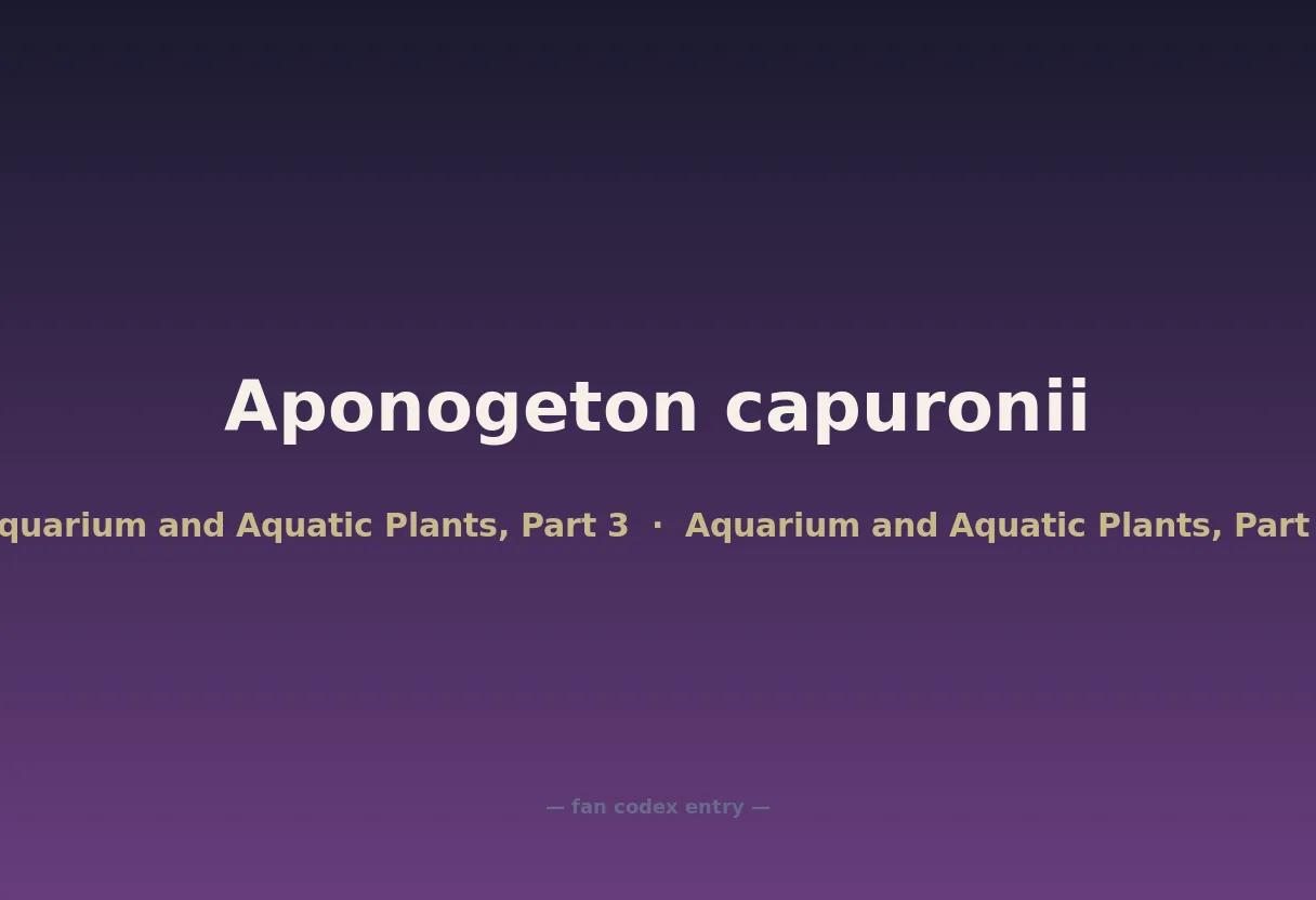 Aponogeton capuronii