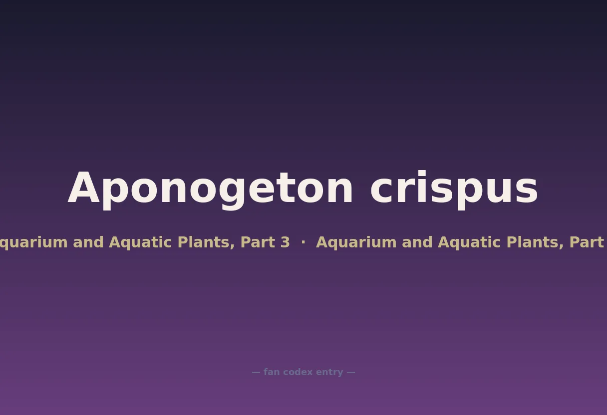 Aponogeton crispus