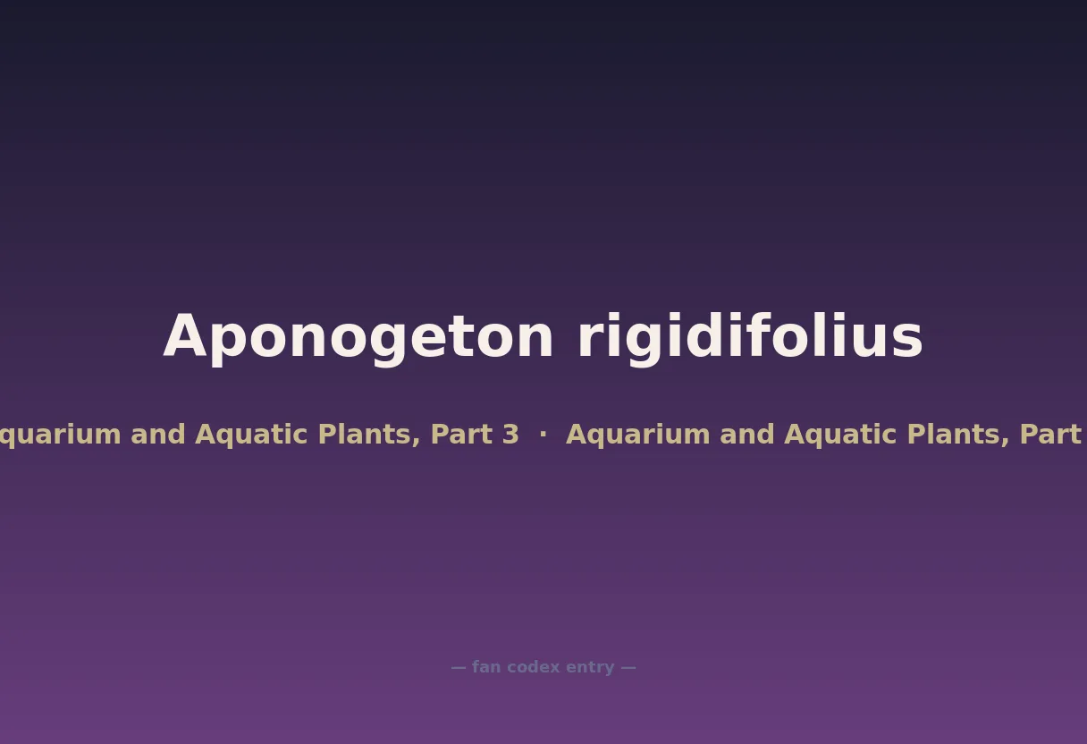 Aponogeton rigidifolius