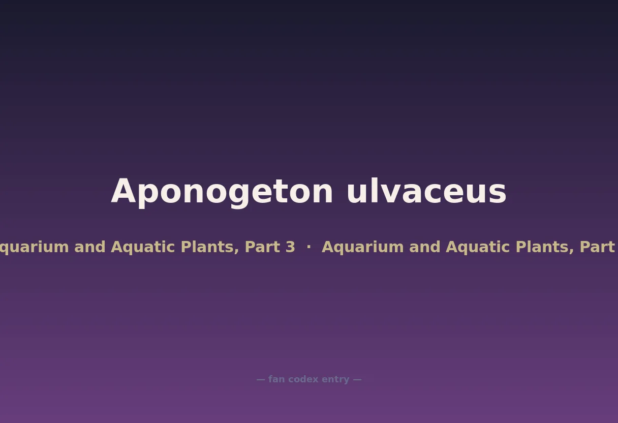 Aponogeton ulvaceus