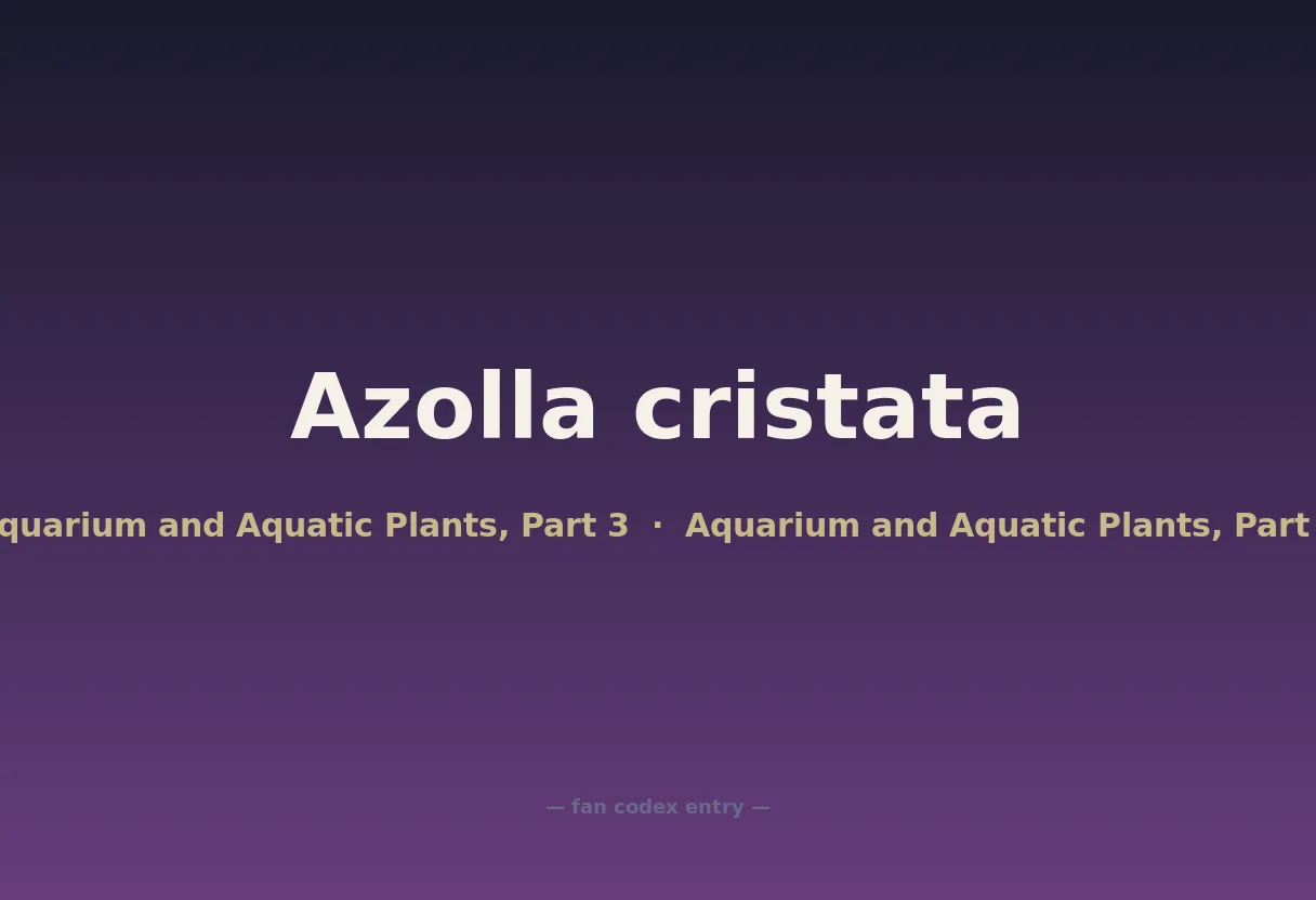 Azolla cristata