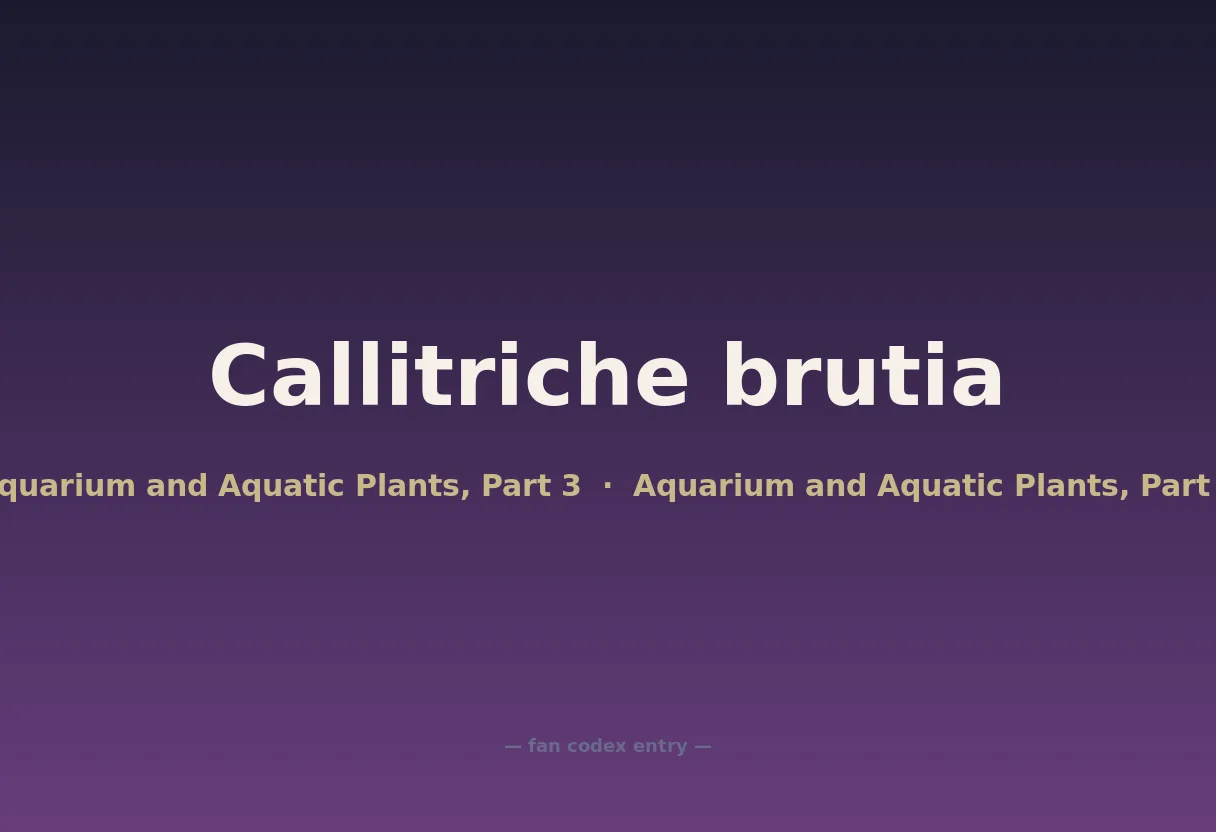 Callitriche brutia