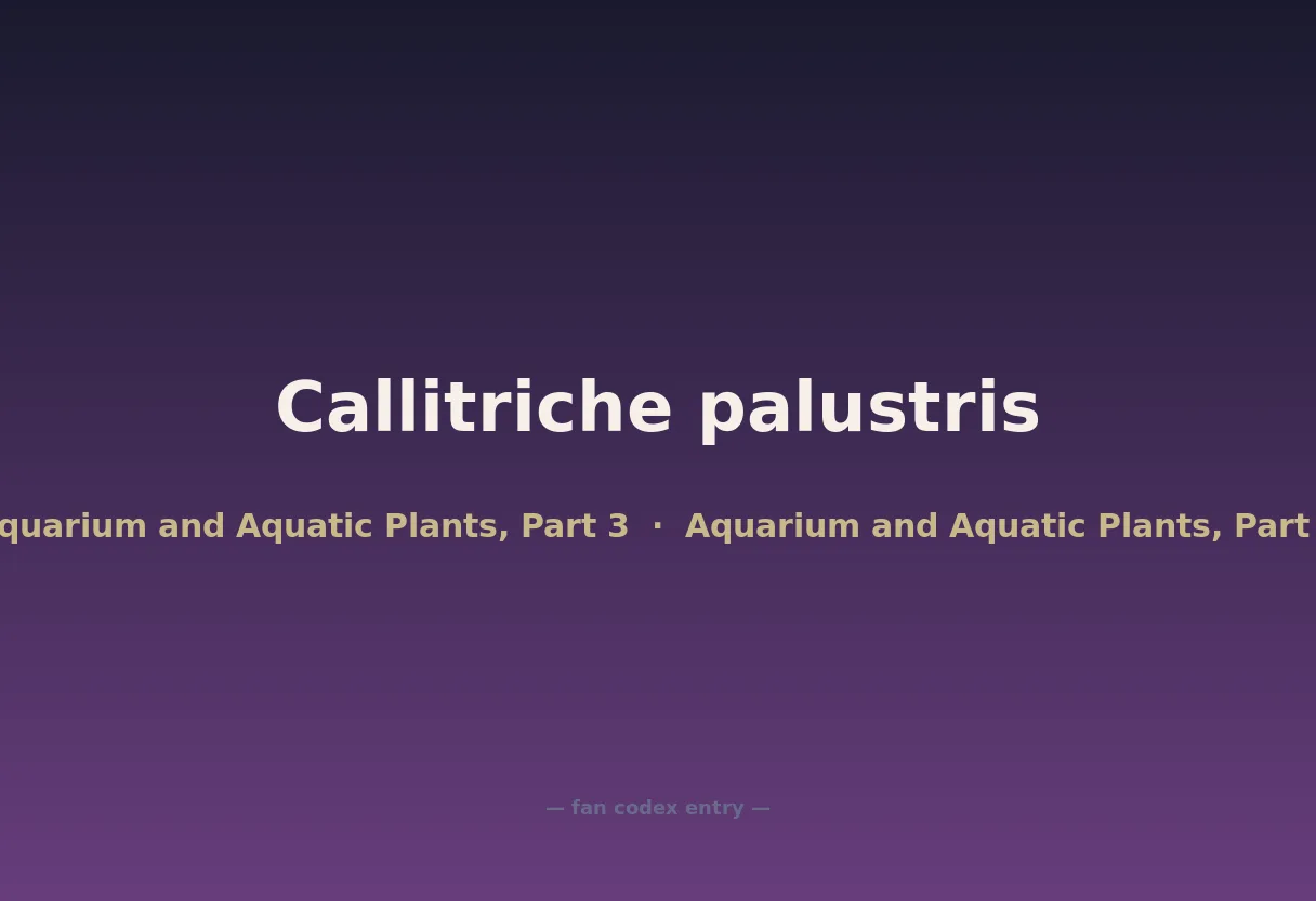 Callitriche palustris