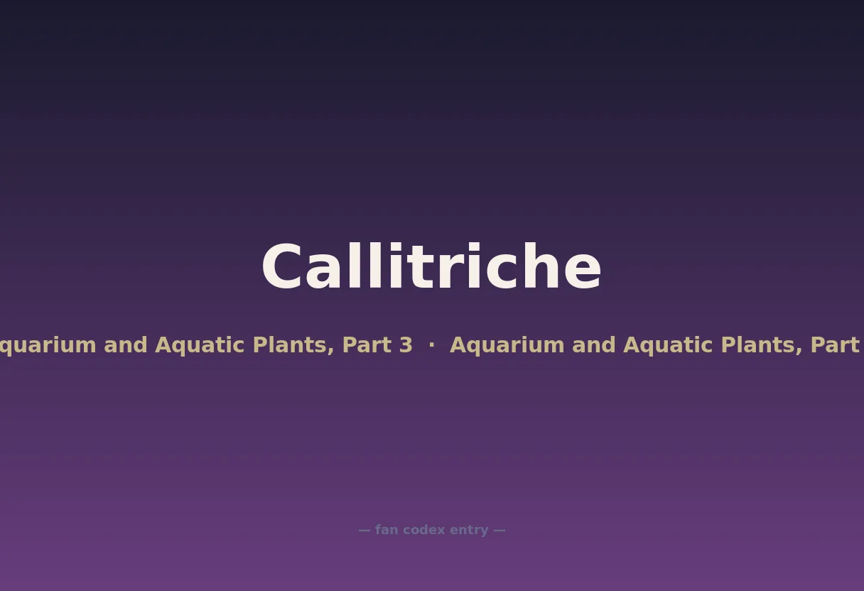 Callitriche
