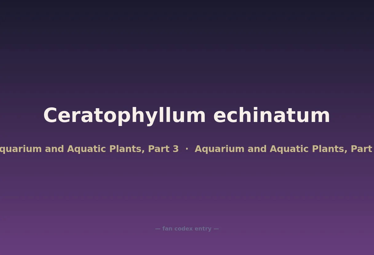 Ceratophyllum echinatum