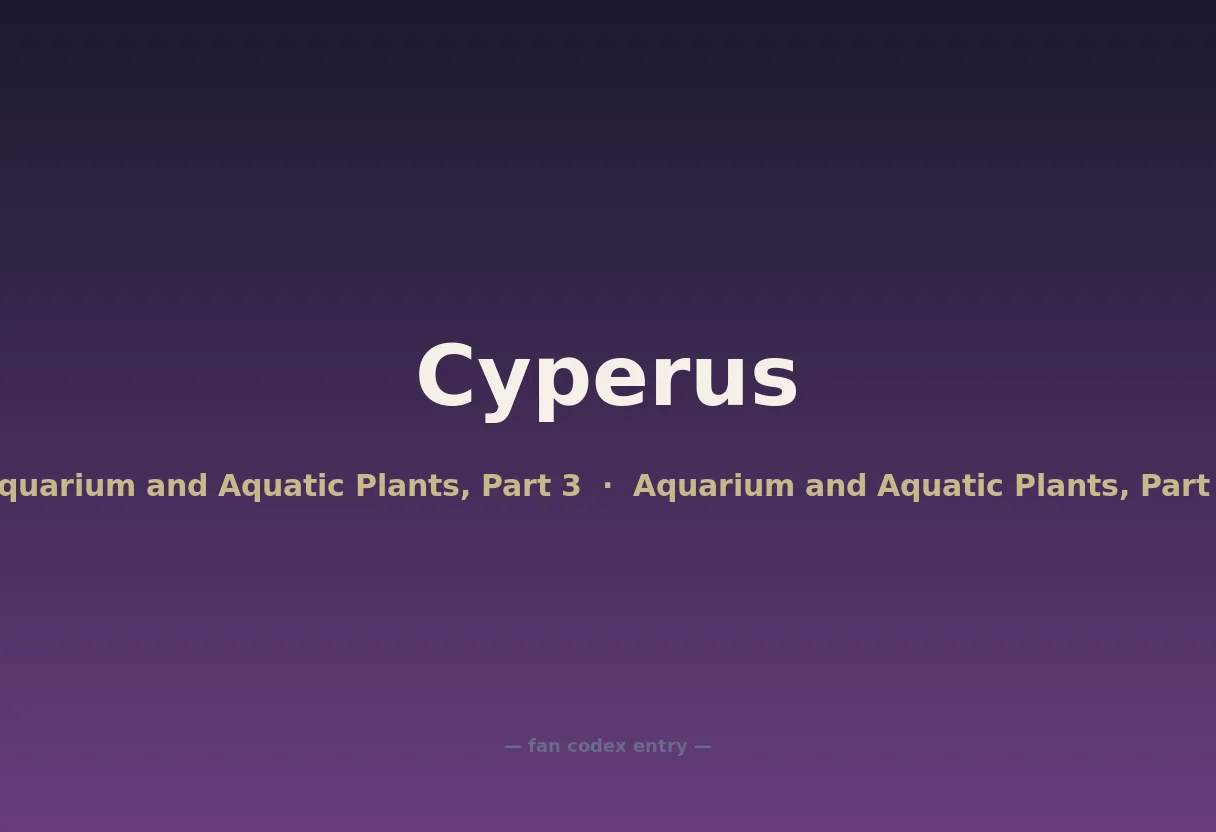 Cyperus