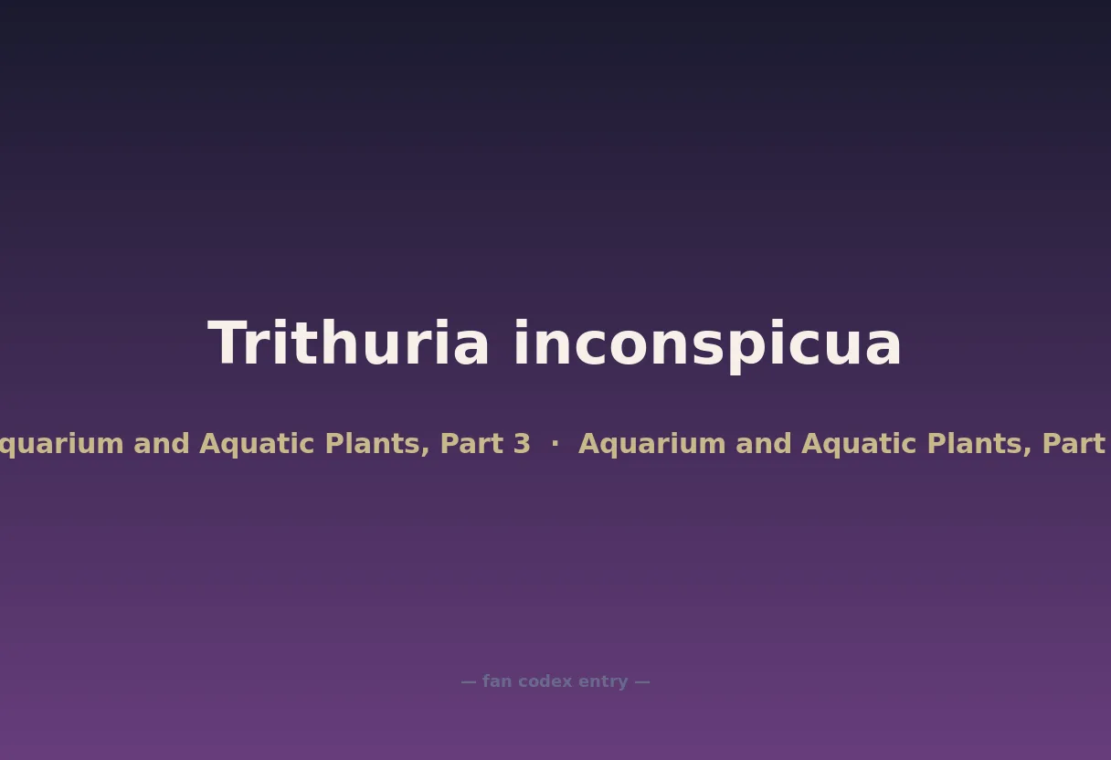Trithuria inconspicua