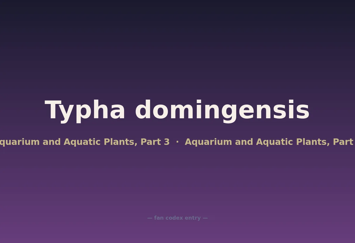 Typha domingensis