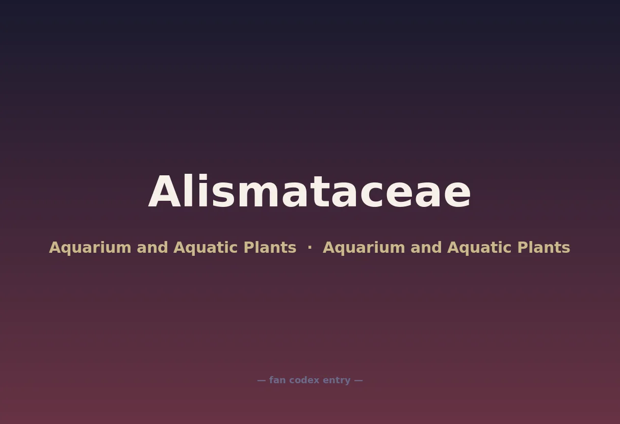 Alismataceae