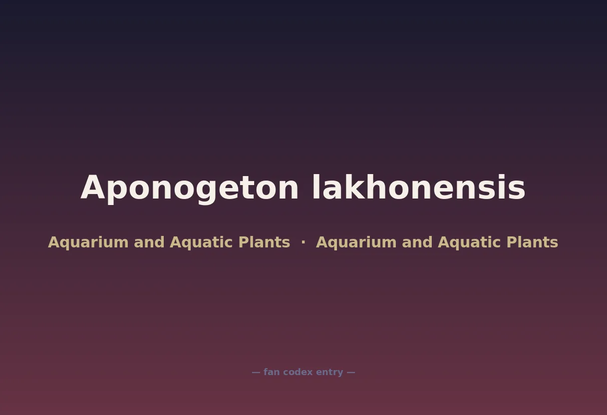 Aponogeton lakhonensis