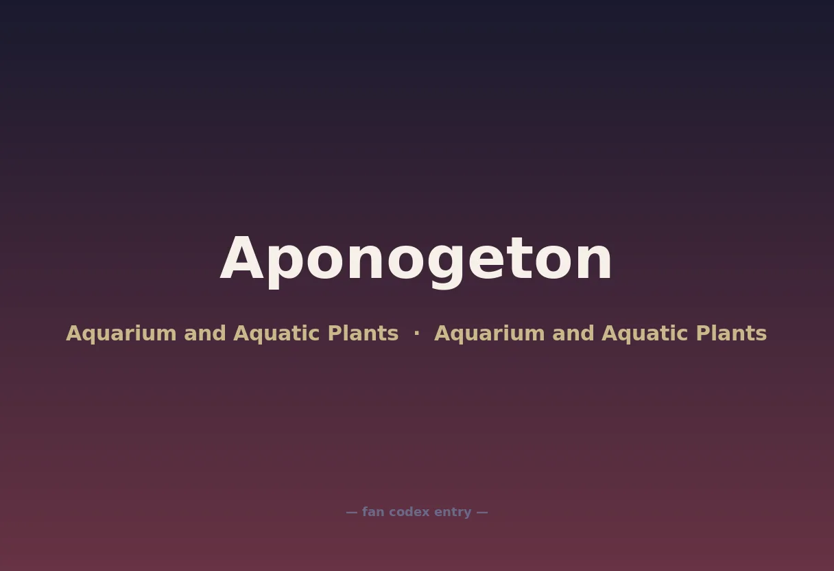 Aponogeton