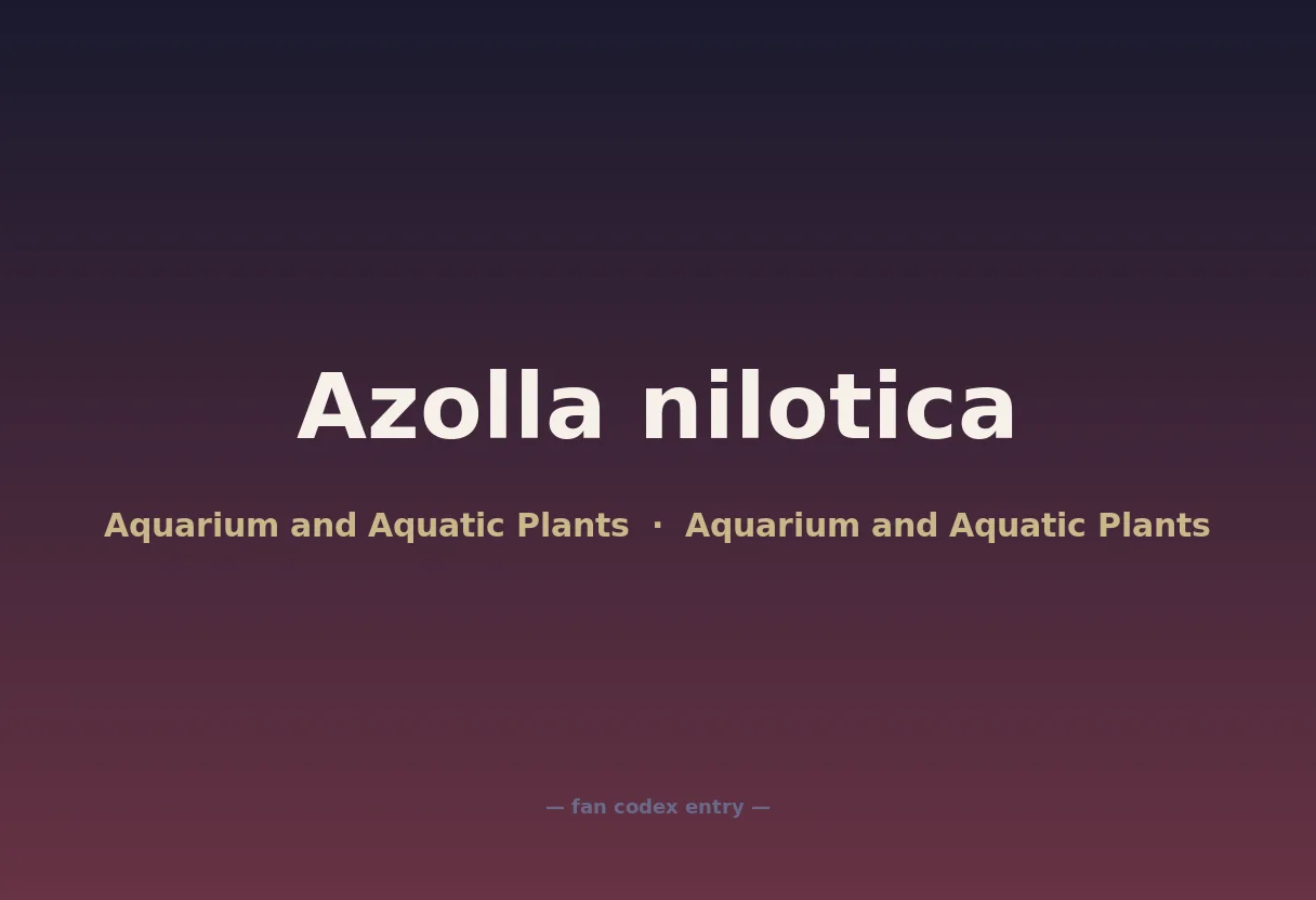 Azolla nilotica