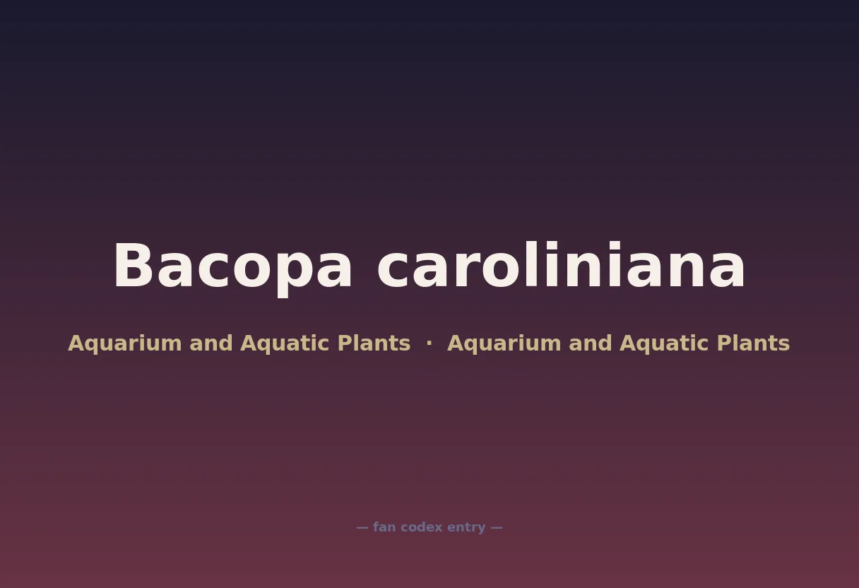 Bacopa caroliniana