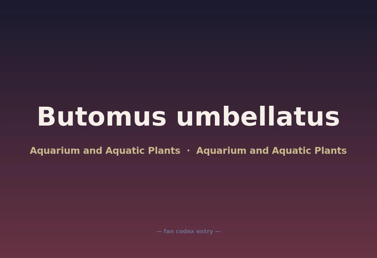 Butomus umbellatus