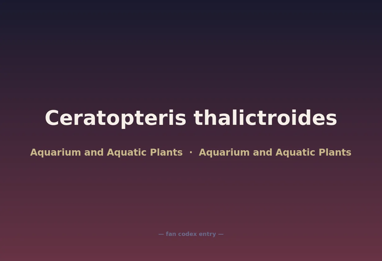 Ceratopteris thalictroides