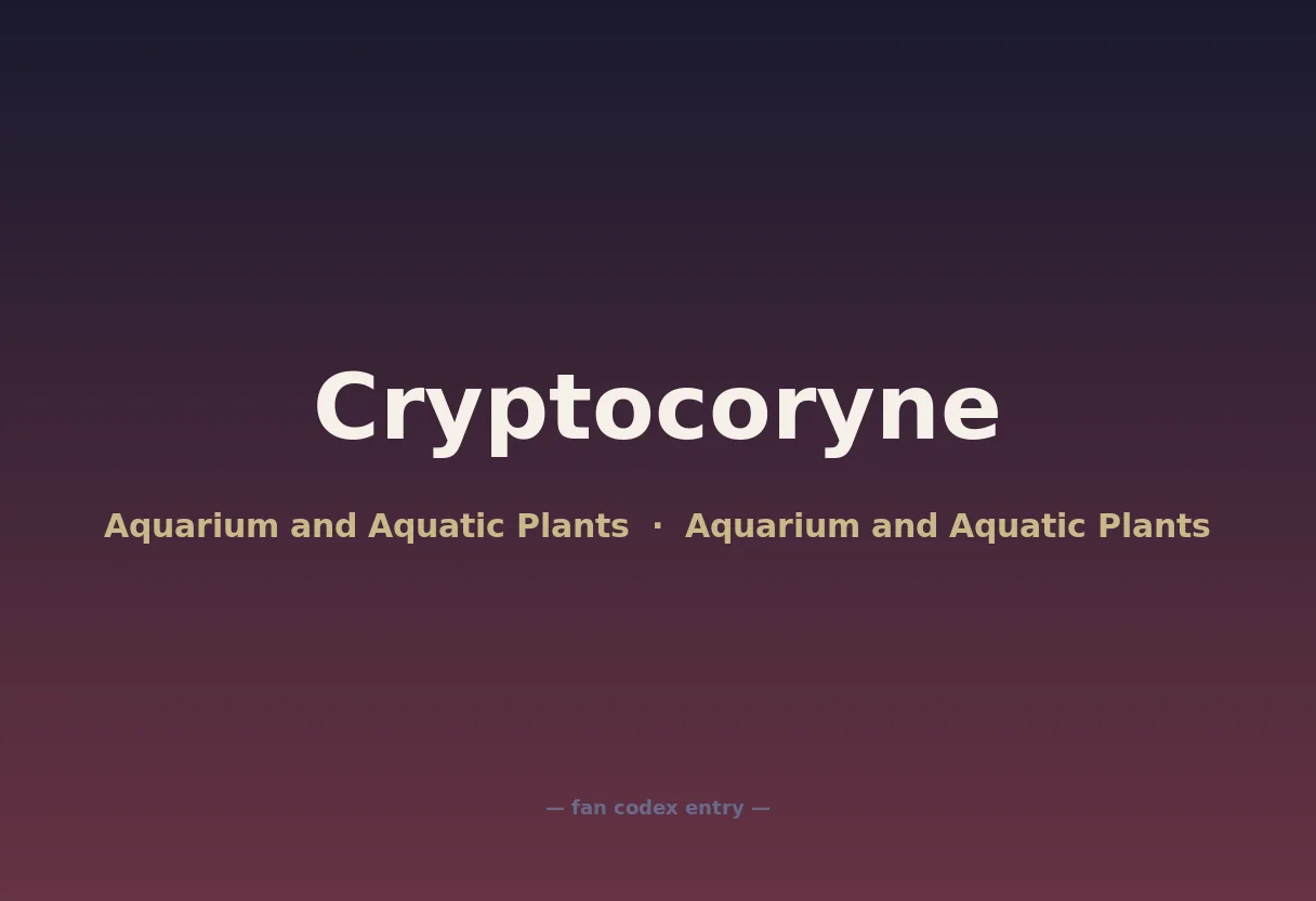 Cryptocoryne