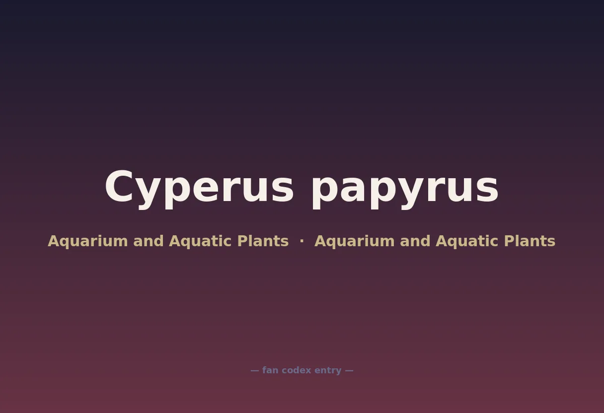 Cyperus papyrus