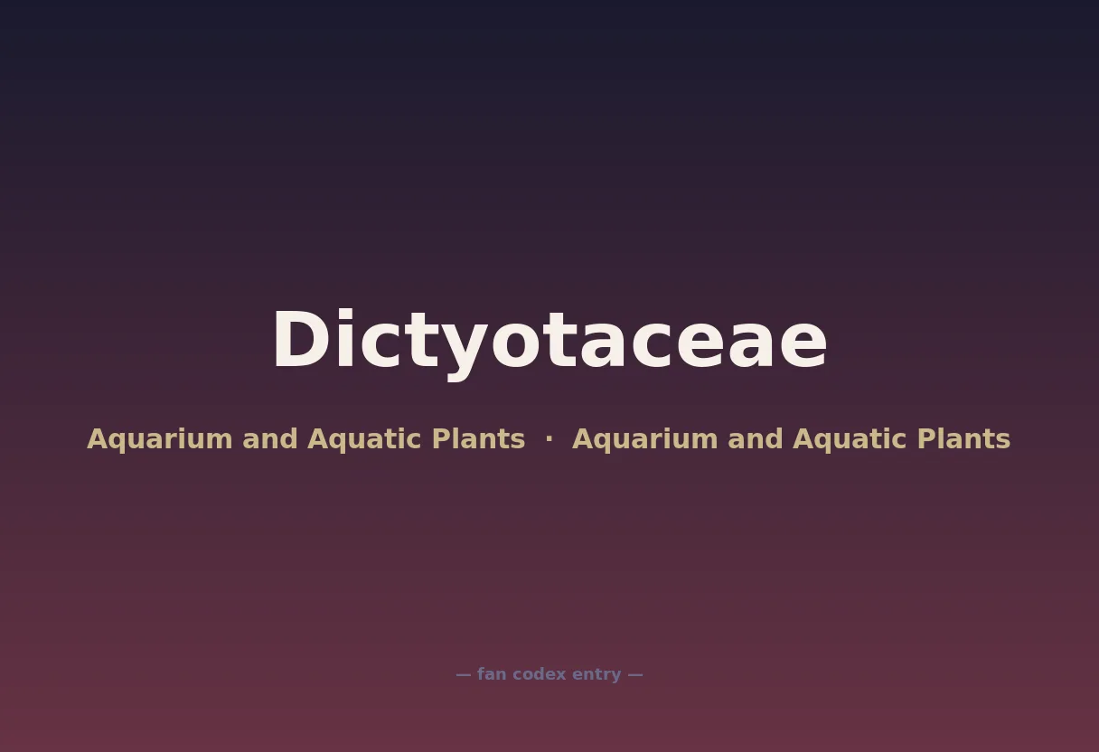 Dictyotaceae