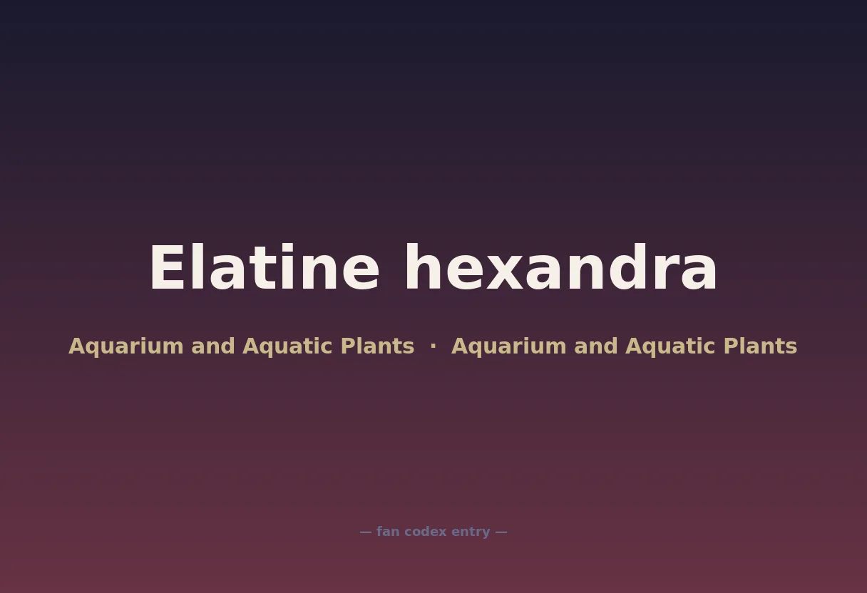 Elatine hexandra