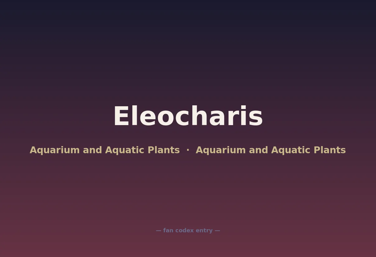 Eleocharis