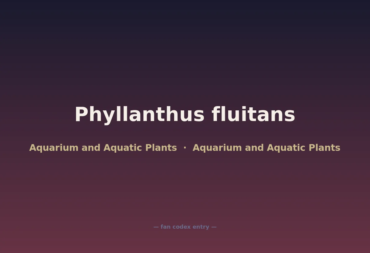 Phyllanthus fluitans