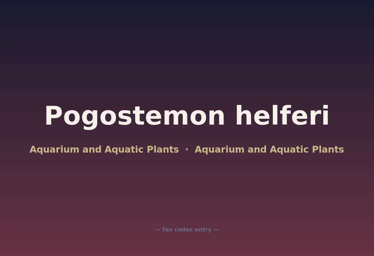 Pogostemon helferi