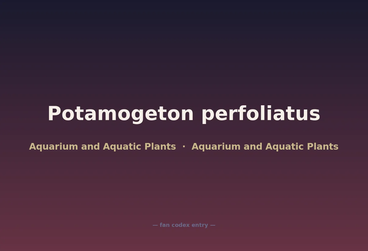 Potamogeton perfoliatus