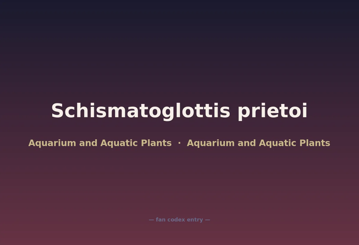 Schismatoglottis prietoi