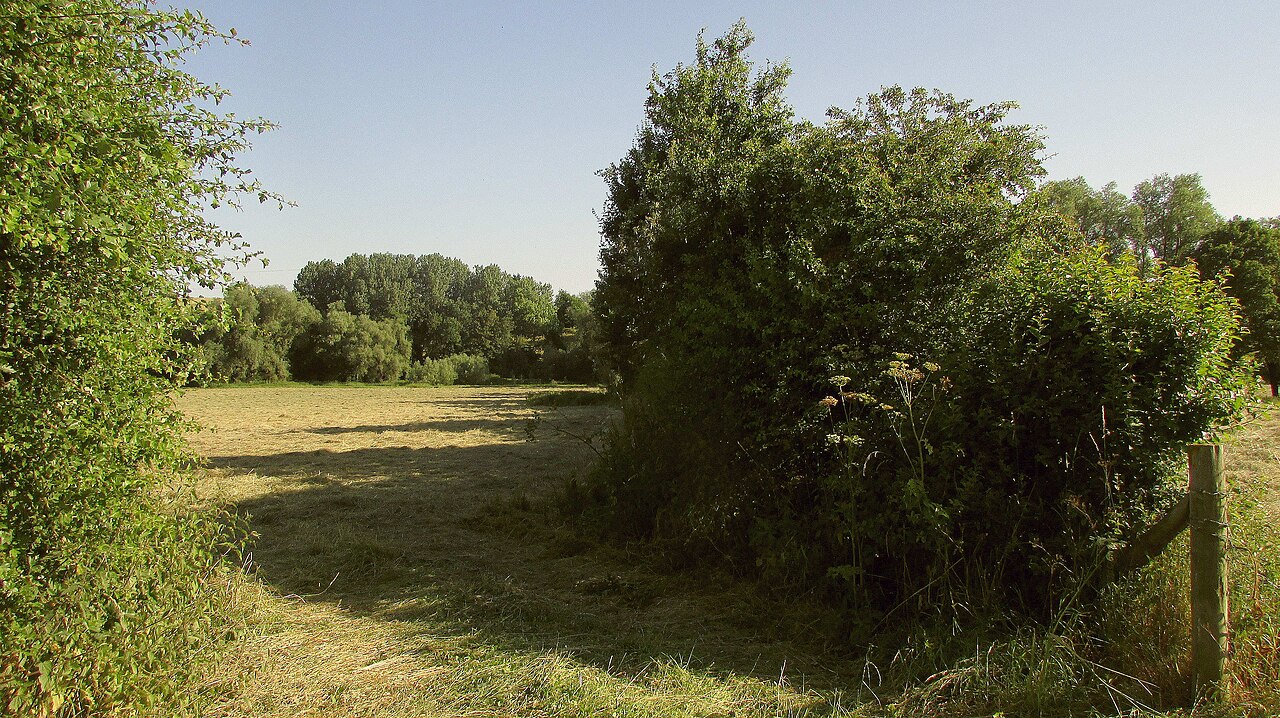 Tony South