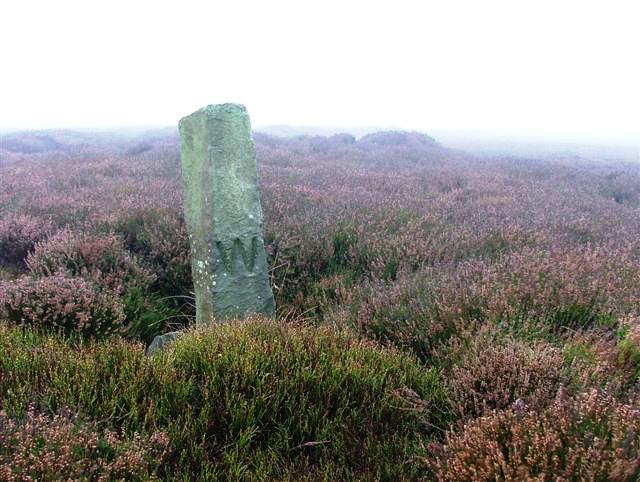 Boundary Stone, Shunner Howe - geograph.org.uk