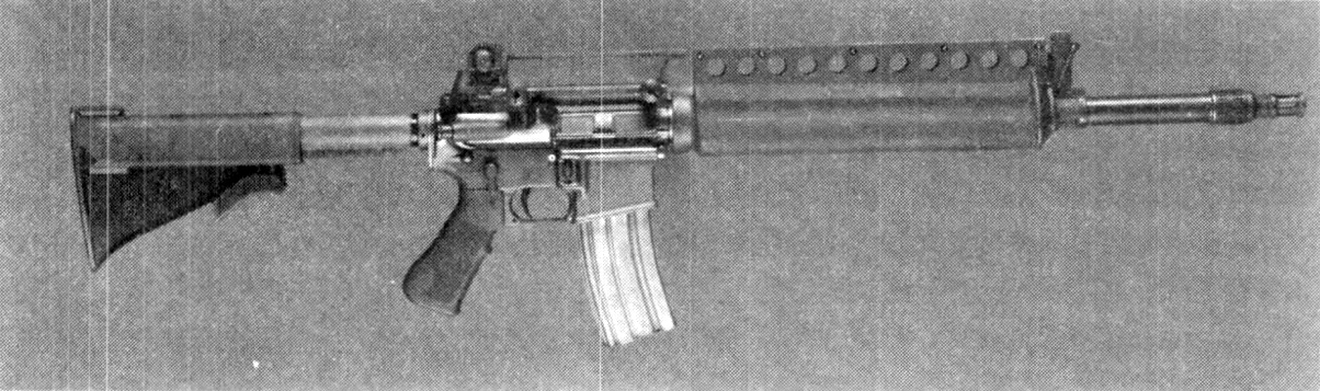 Adaptive Combat Rifle