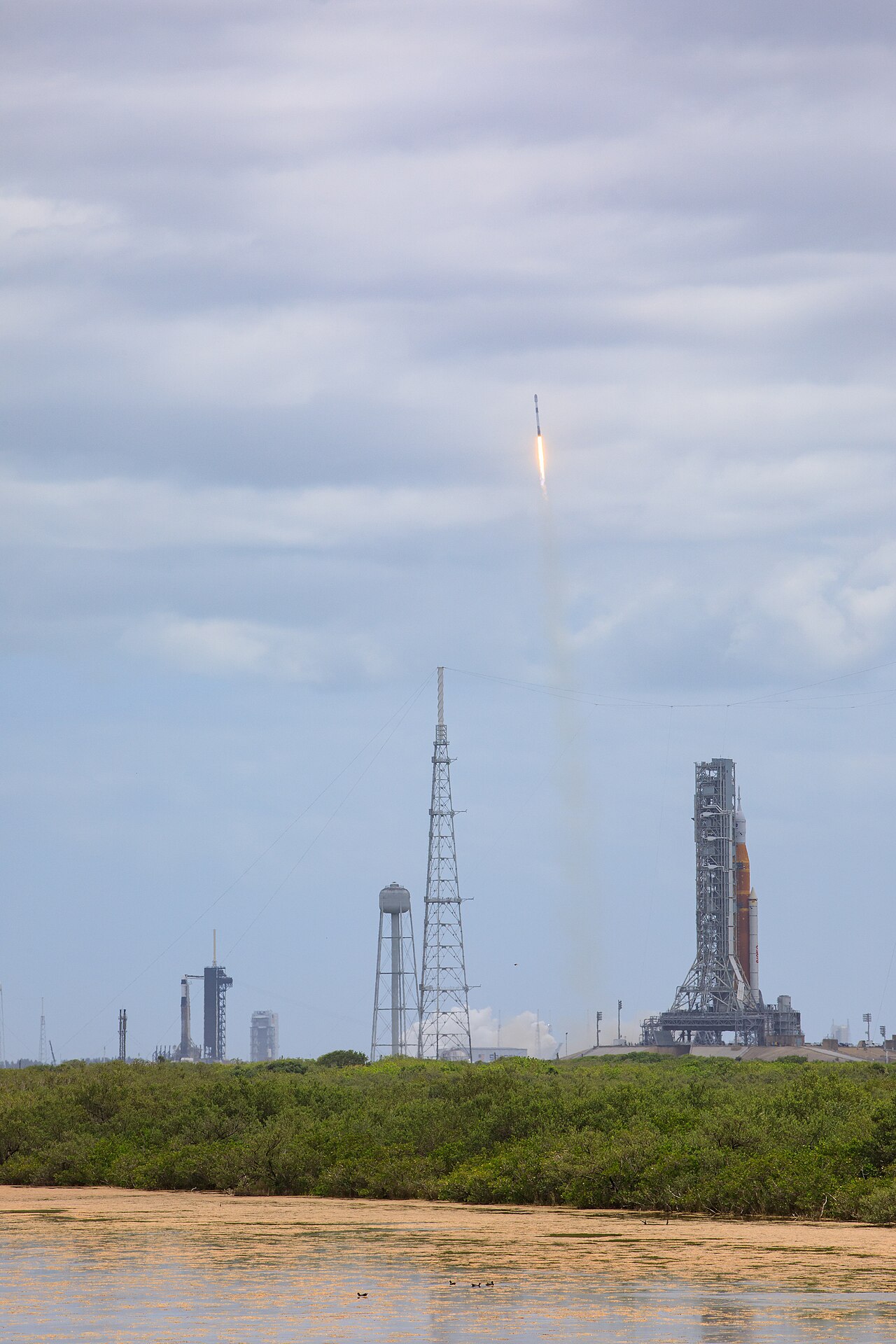 Starlink Project