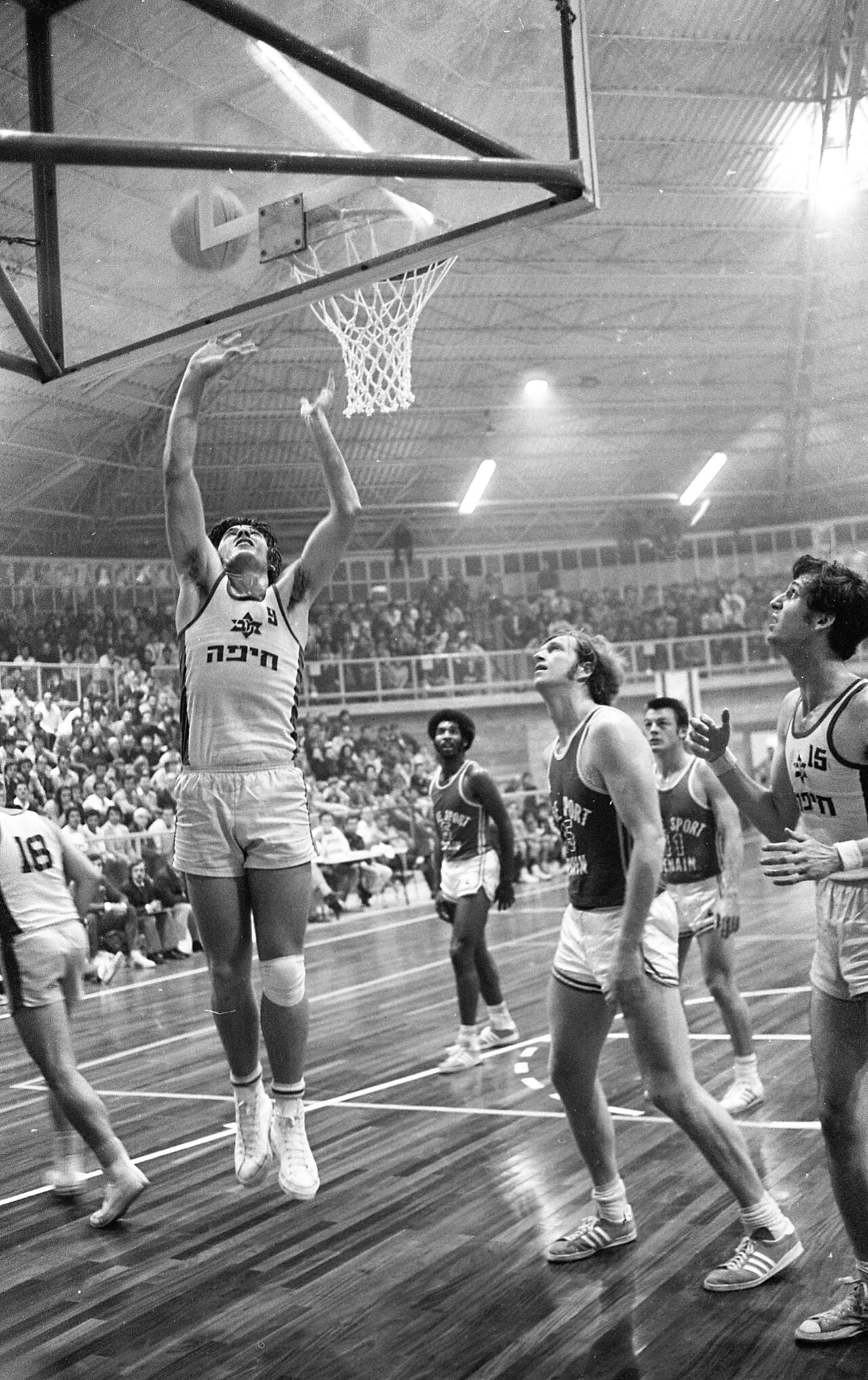 Maccabi Haifa B.C.