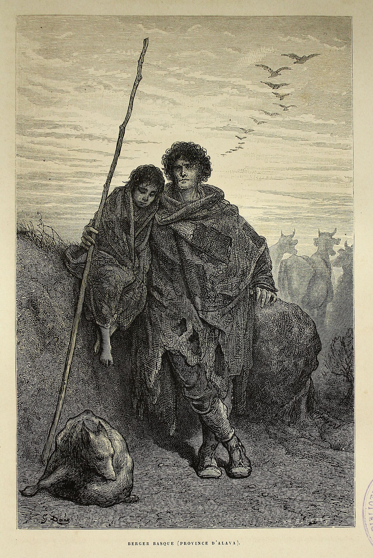 Basque Shepherd Dog