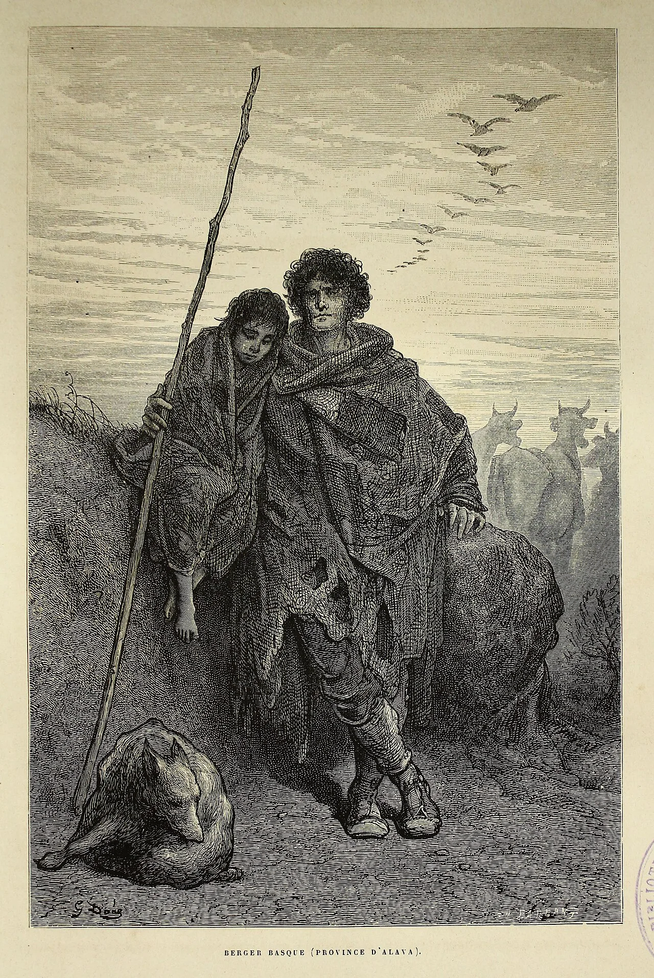 Basque Shepherd Dog