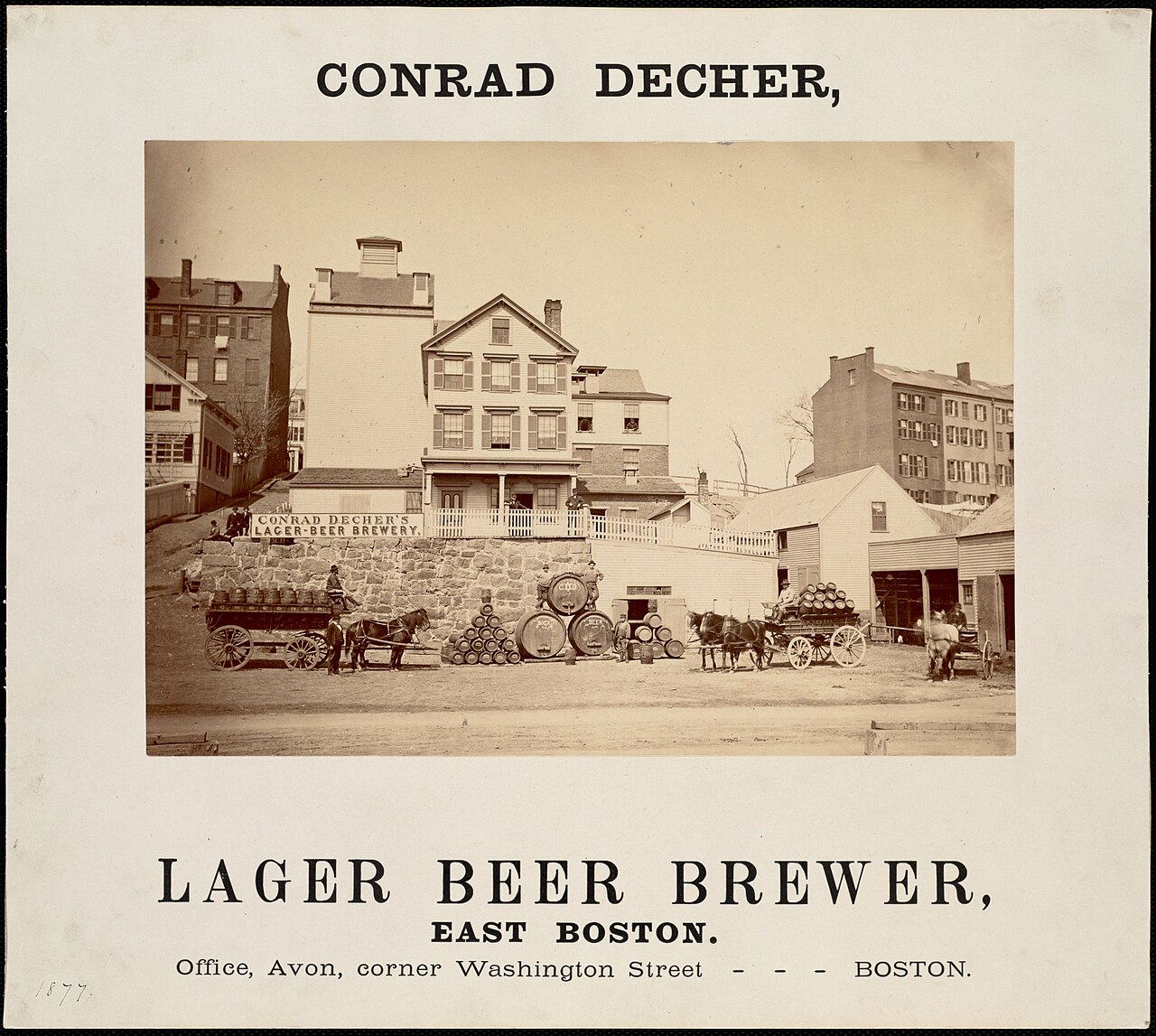 American lager