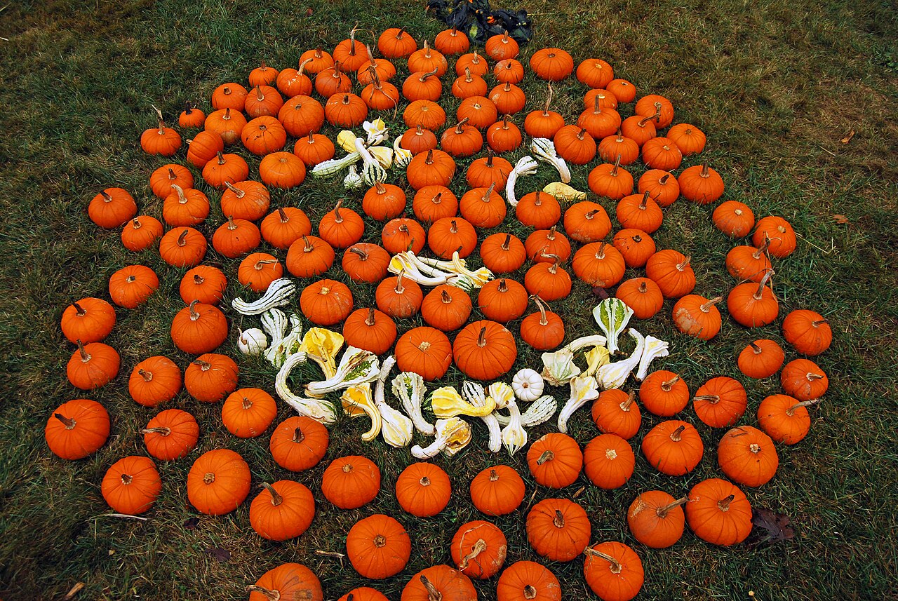 Pumpkin ale