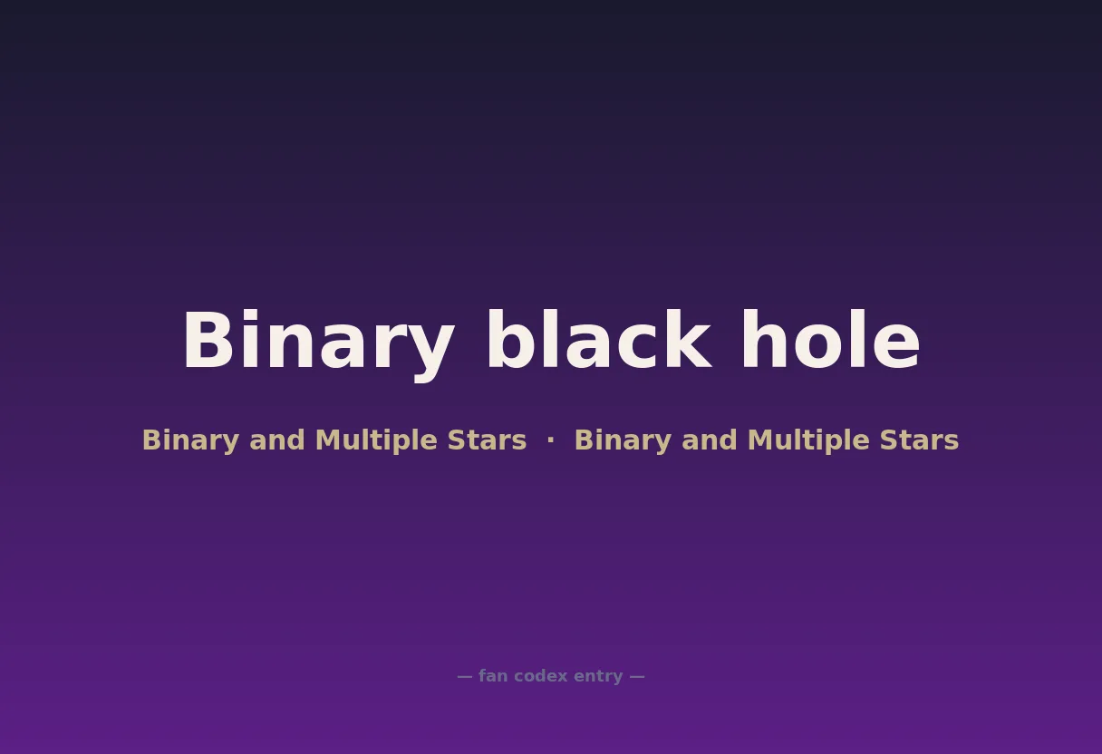 Binary black hole