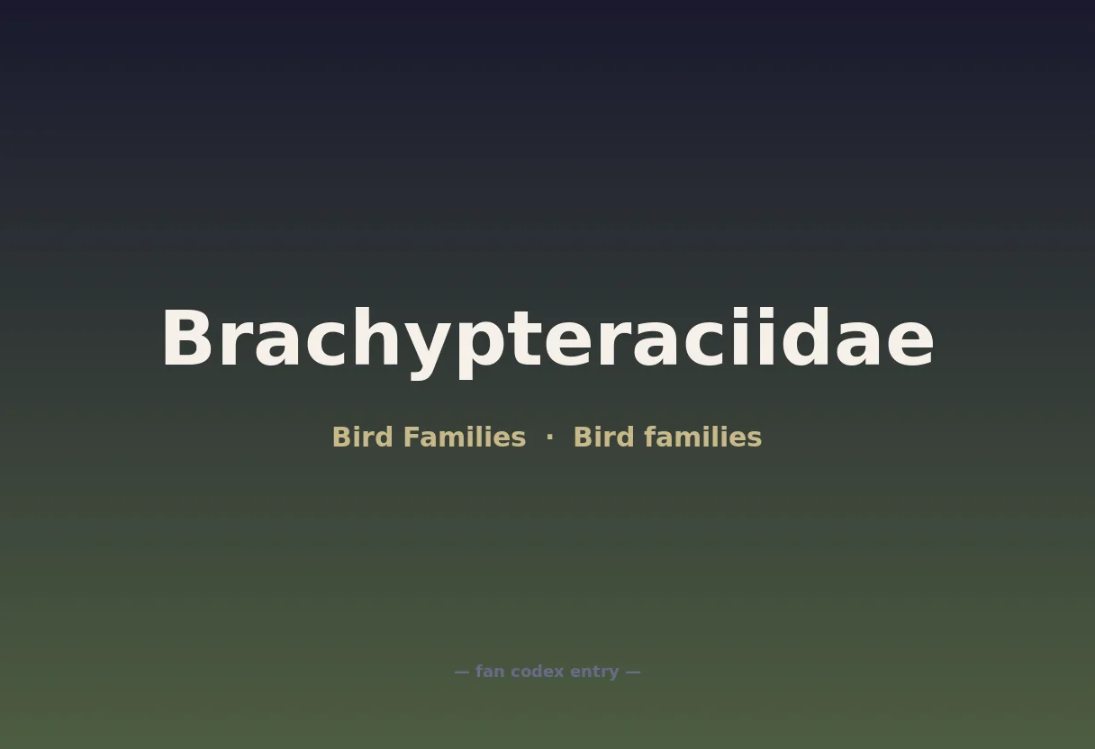 Brachypteraciidae