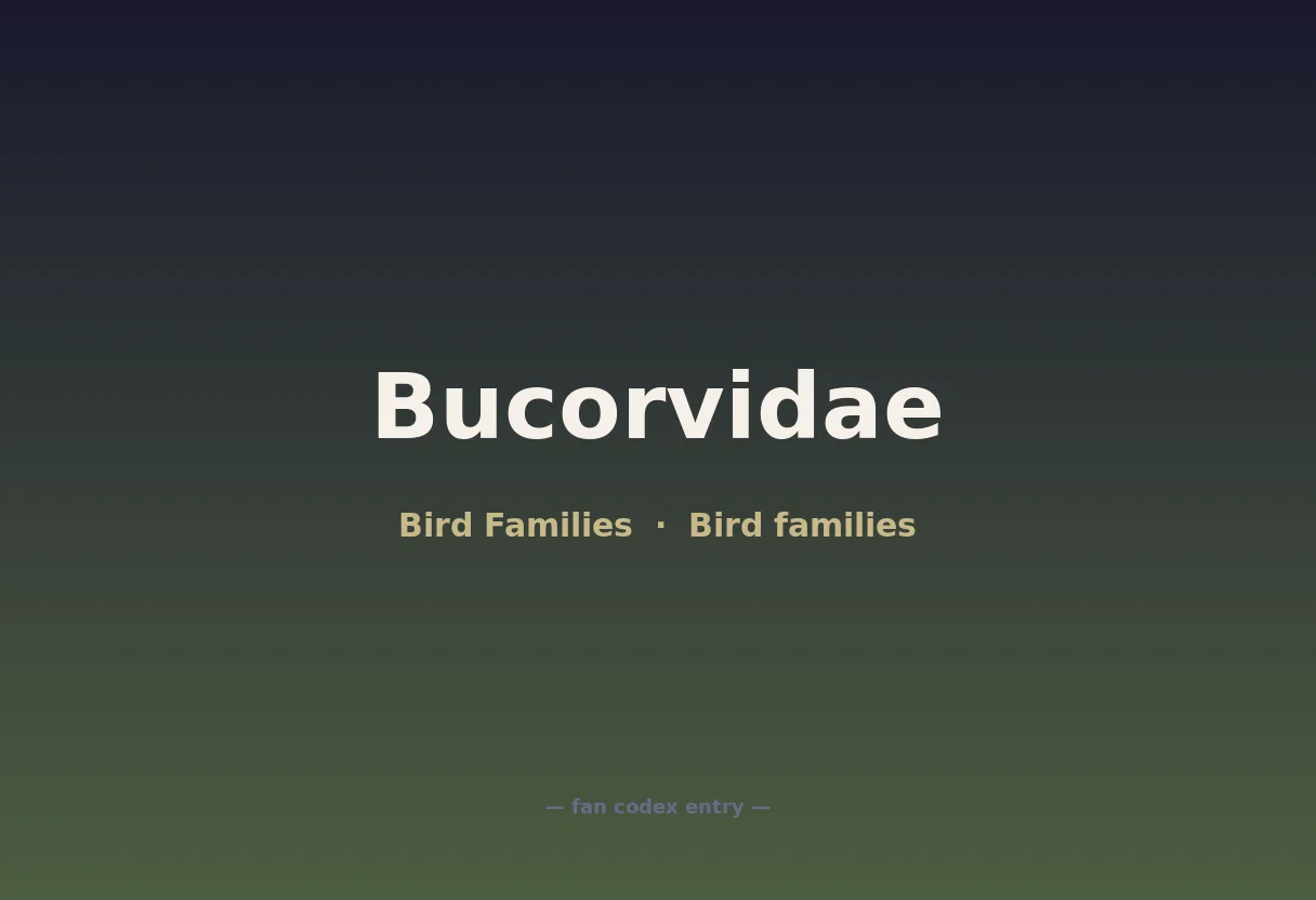 Bucorvidae